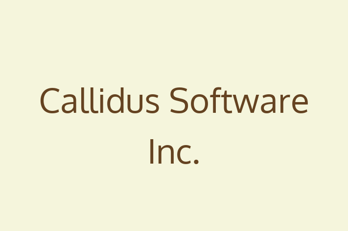 Application Development Company Callidus Software Inc.