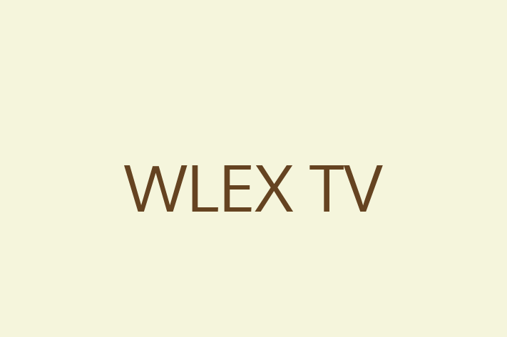 IT Company WLEX TV