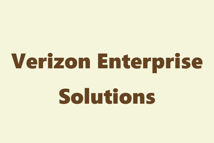 Software Solutions Provider Verizon Enterprise Solutions