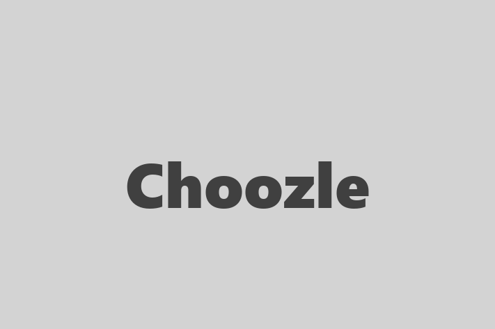 Technology Company Choozle