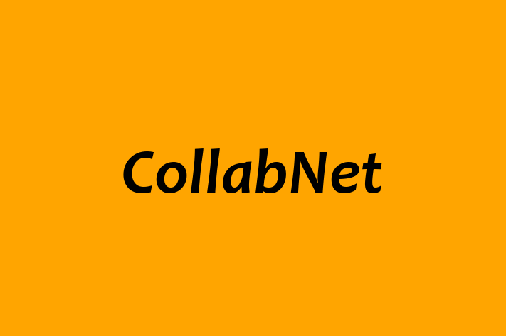 IT Company CollabNet