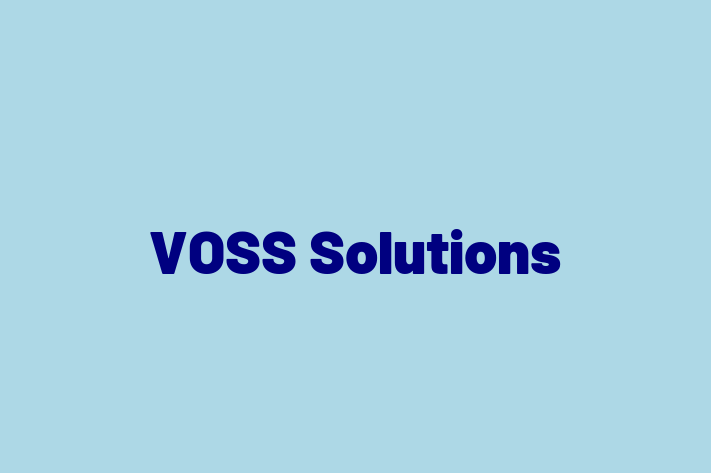 Tech Solutions Company VOSS Solutions