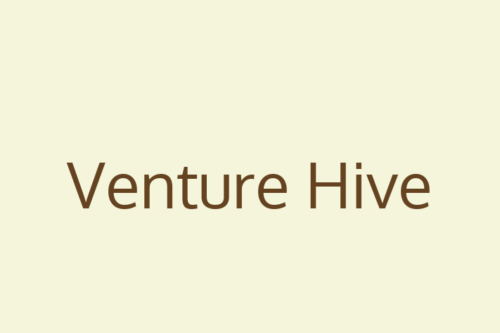 Technology Company Venture Hive