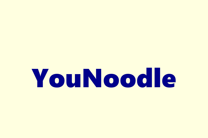 Software Development Firm YouNoodle