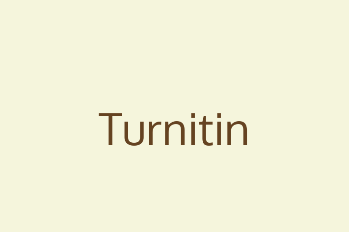 Software Development Company Turnitin