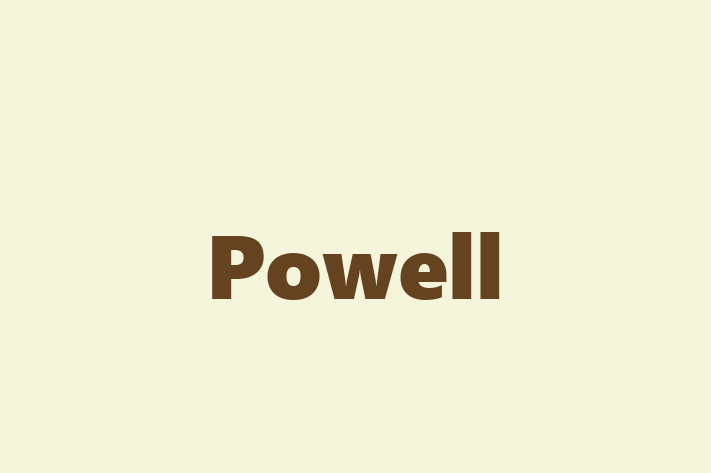 Personnel Management Powell