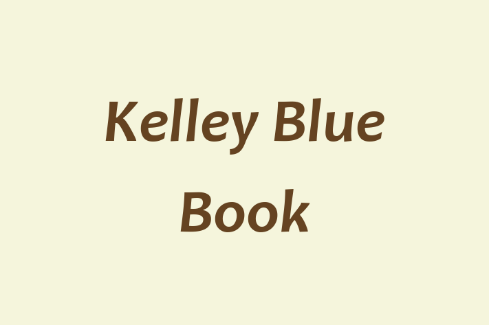 Application Development Company Kelley Blue Book