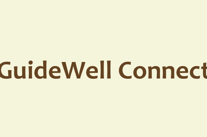 IT Company GuideWell Connect