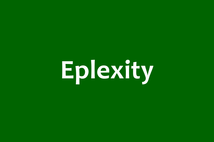 Software Engineering Company Eplexity