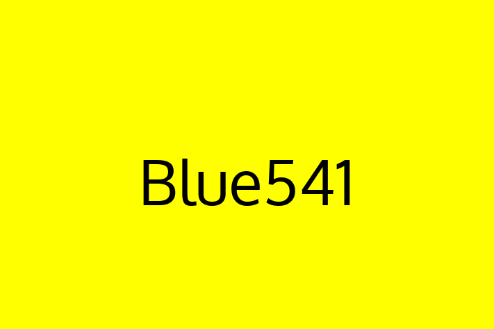 Tech Firm Blue541