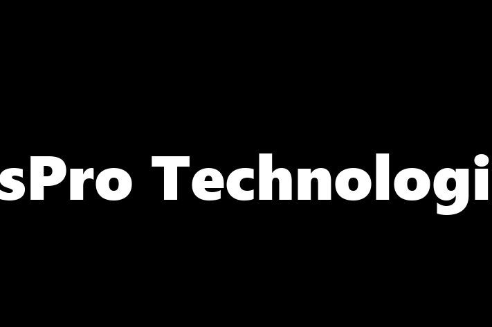 Tech Solutions Company InsPro Technologies