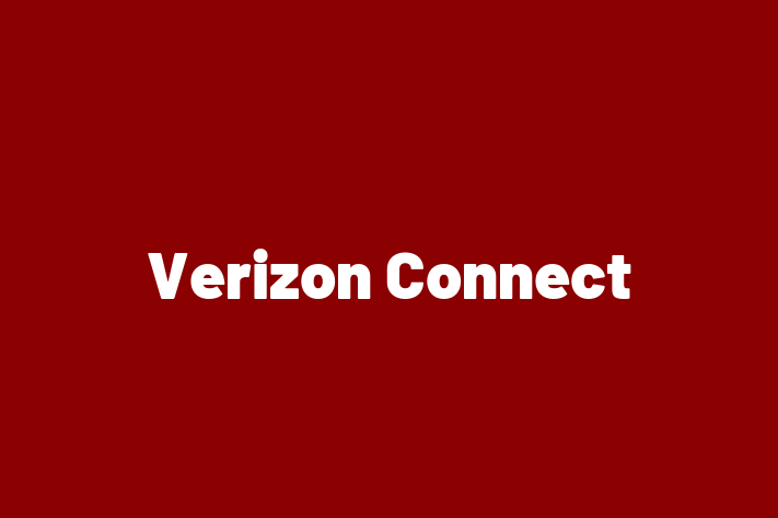 Digital Solutions Provider Verizon Connect