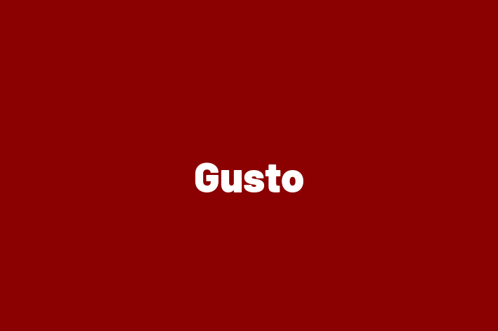 Application Development Company Gusto