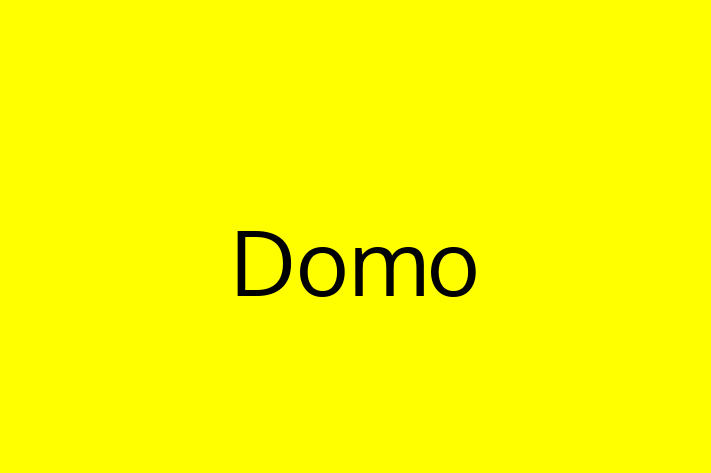 Software Solutions Provider Domo