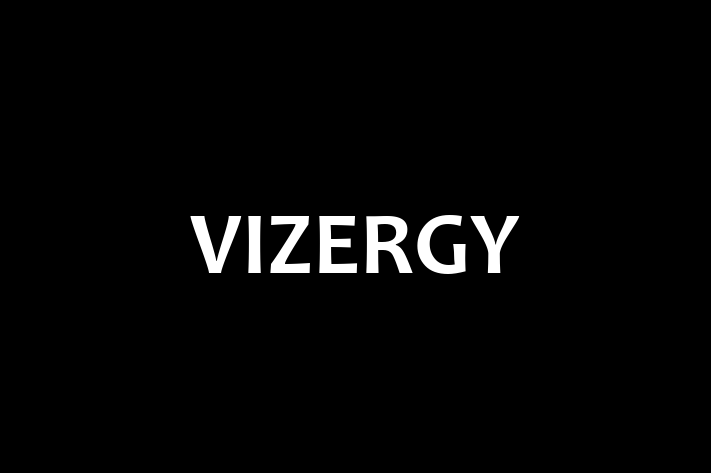 Software Engineering Company VIZERGY