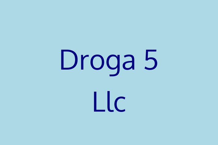 Tech Firm Droga 5 Llc