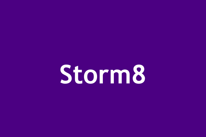 Human Capital Management Storm8