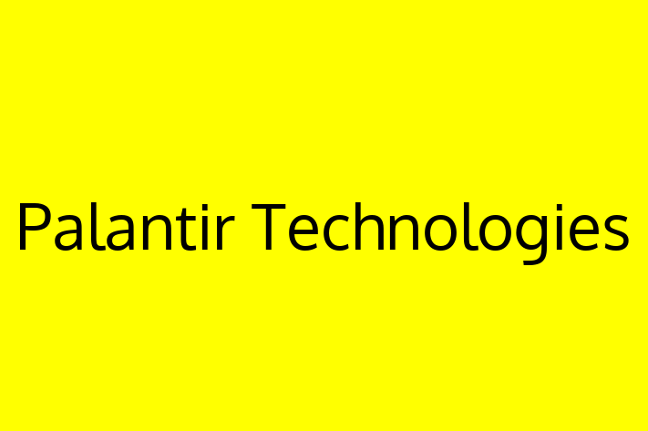 Tech Solutions Company Palantir Technologies