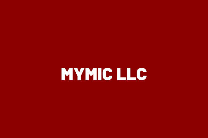 Software Engineering Company MYMIC LLC