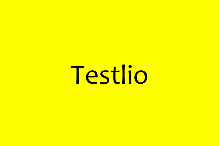 Application Development Company Testlio