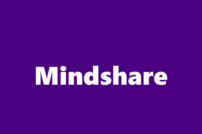 Software Development Company Mindshare