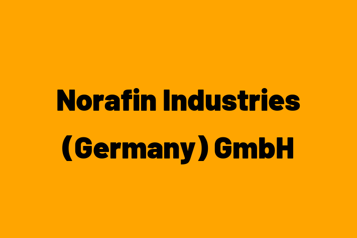 Labor Relations Norafin Industries Germany GmbH