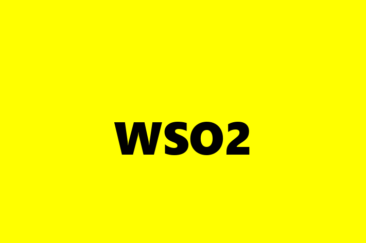 Application Development Company WSO2