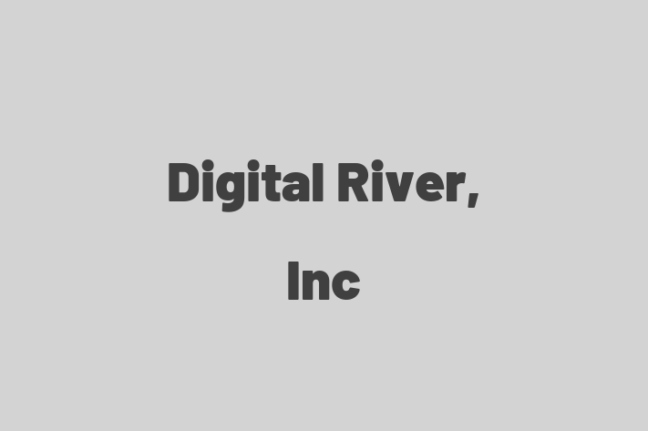 Technology Company Digital River Inc