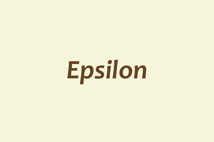 Software Engineering Company Epsilon