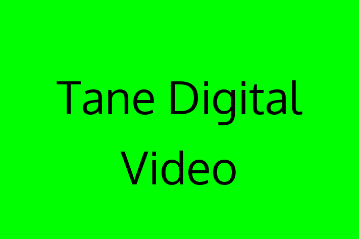 IT Company Tane Digital Video