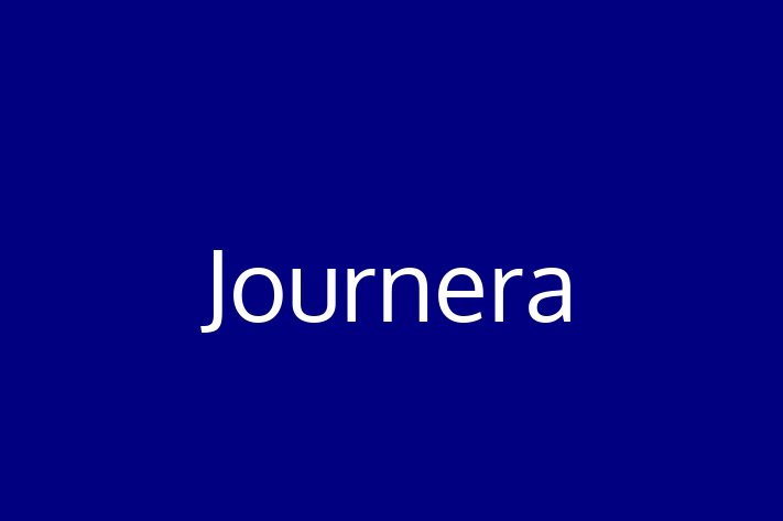 IT Company Journera