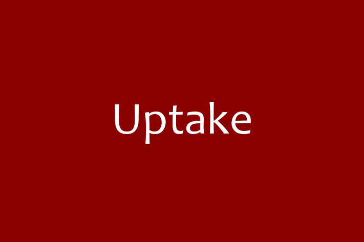 Software Development Firm Uptake