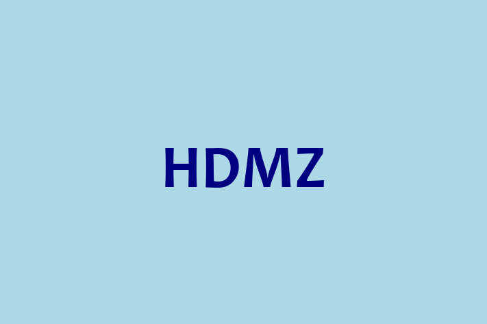 Software Development Firm HDMZ