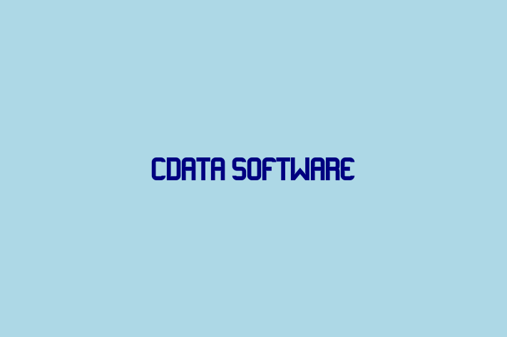 Tech Solutions Company CData Software