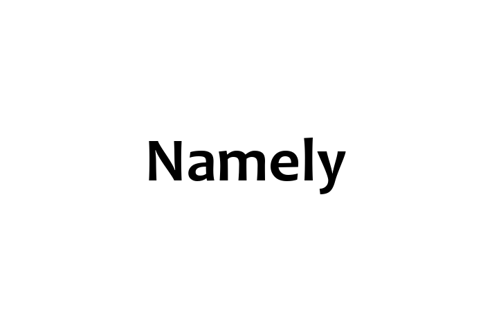 Tech Solutions Company Namely