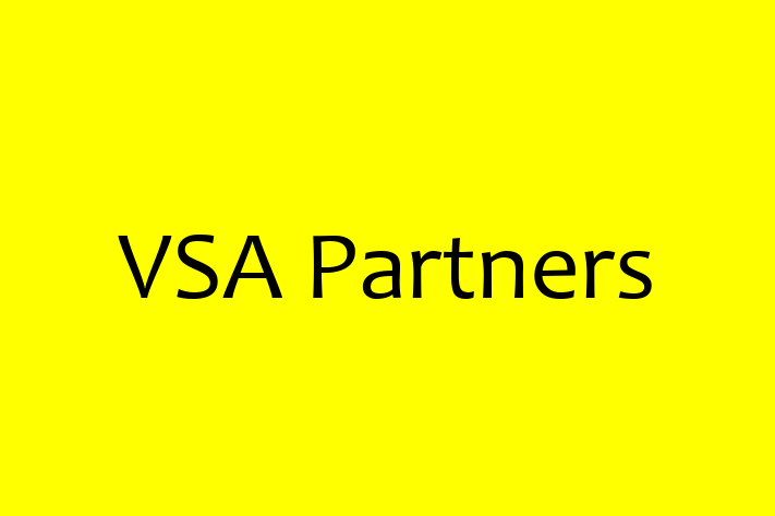 Software Consultancy VSA Partners