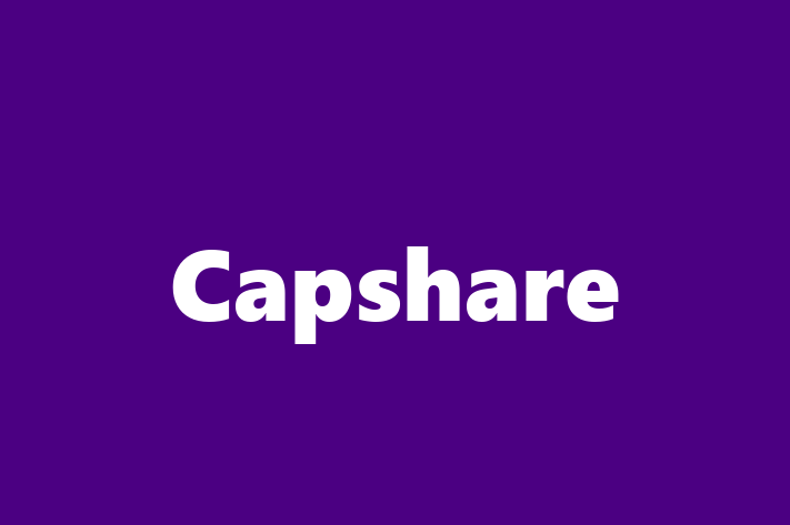 IT Company Capshare