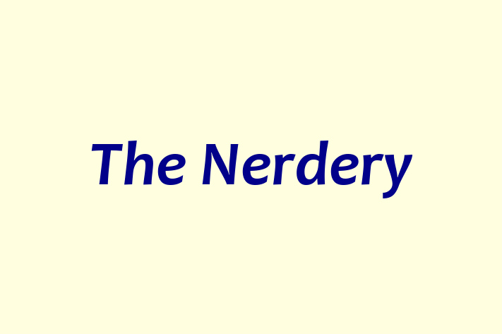 Software Firm The Nerdery