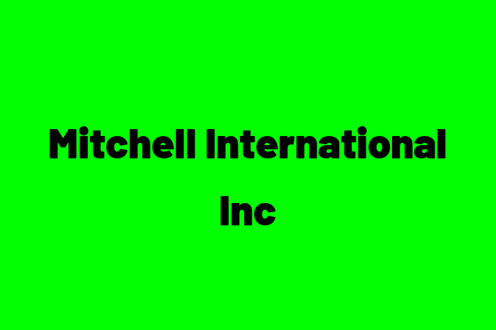 Application Development Company Mitchell International Inc