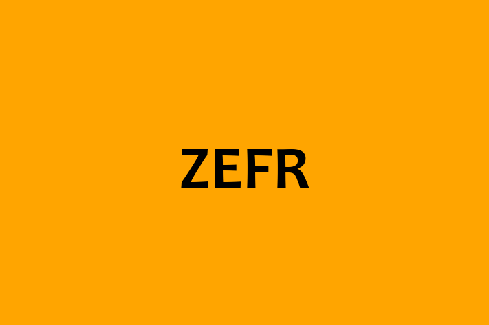 Technology Solutions Firm ZEFR