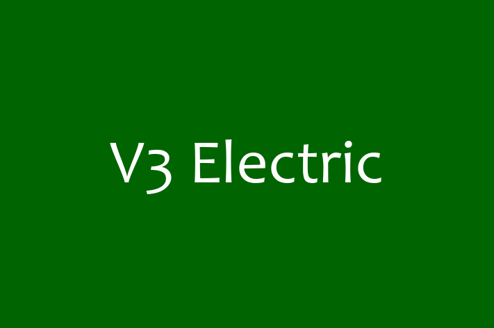 Software Consultancy V3 Electric