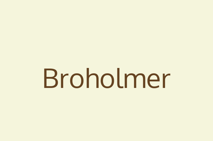 Adopt a Friendly Broholmer Dog in Portland