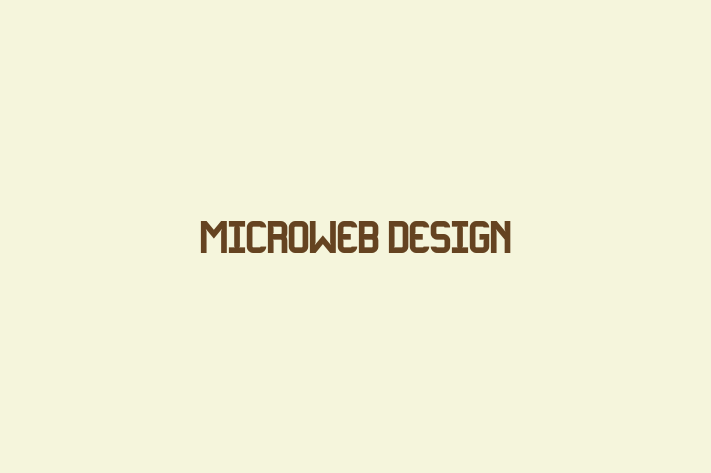 Tech Firm MicroWeb Design