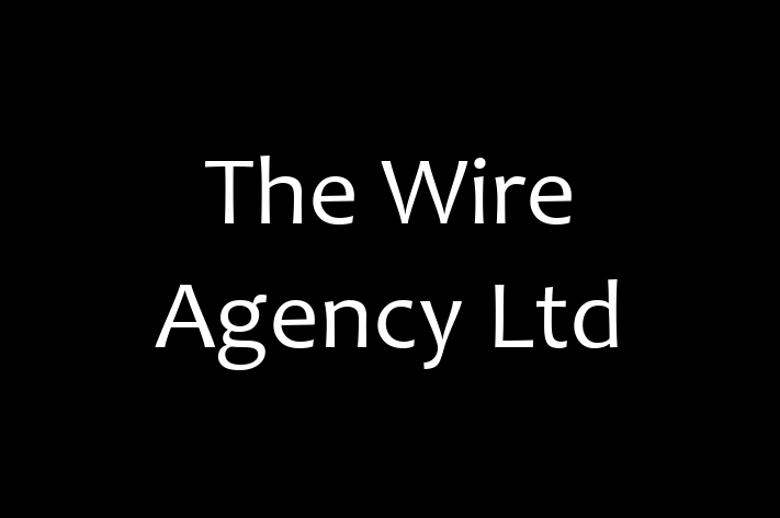 Software Engineering Company The Wire Agency Ltd