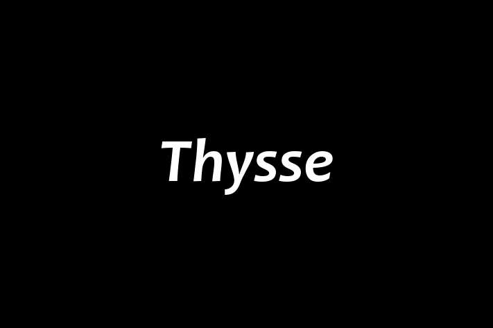 Workforce Management Thysse