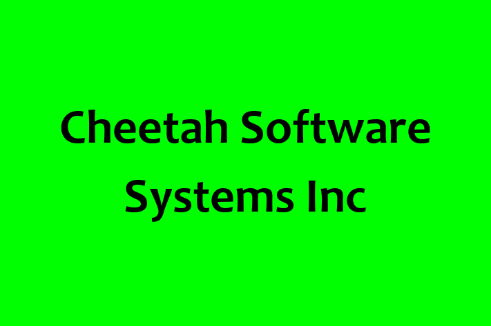 Application Development Company Cheetah Software Systems Inc