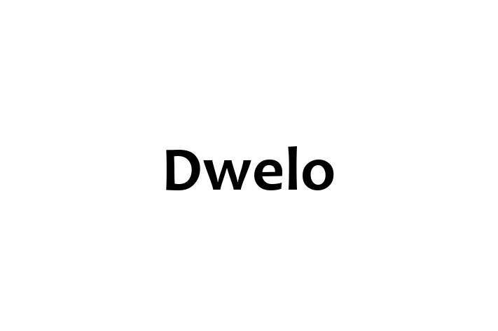 IT Company Dwelo