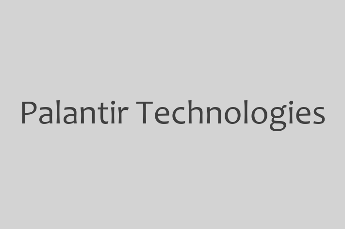 Tech Solutions Company Palantir Technologies