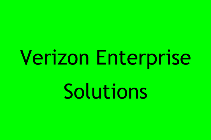 Software Consultancy Verizon Enterprise Solutions