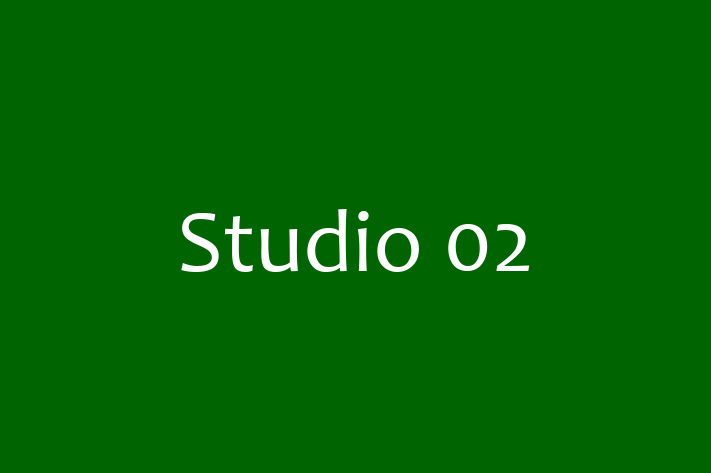 Structural architect Studio 02